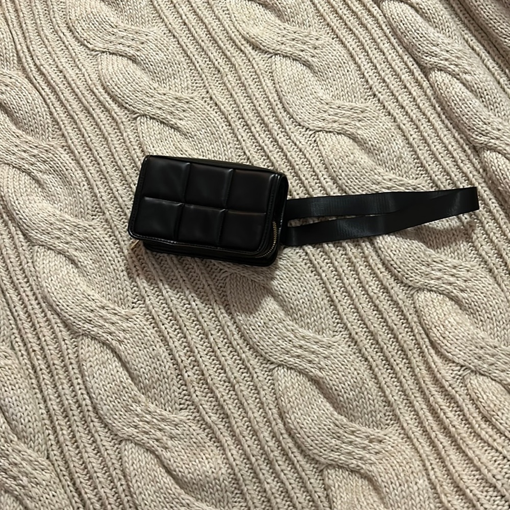 NWT Amanda uprichard belt bag